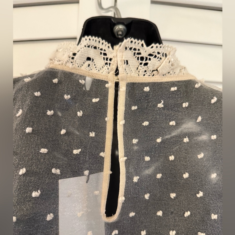 Zara Elegant Vintage Inspired Lace Embroidered Women's Sheer Top Size Medium NWT - Picture 8 of 9